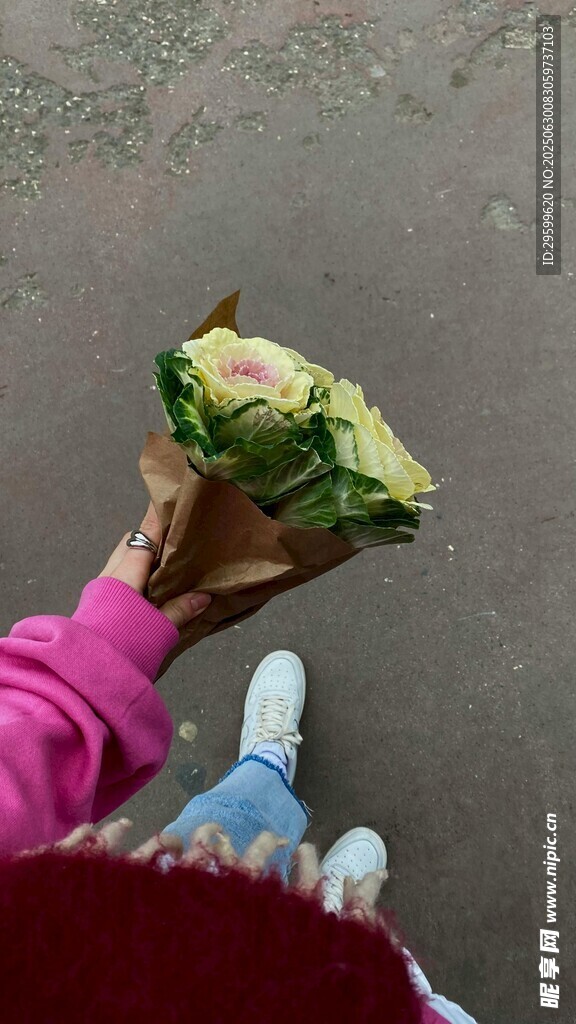 手持蔬菜的粉色衣袖身影