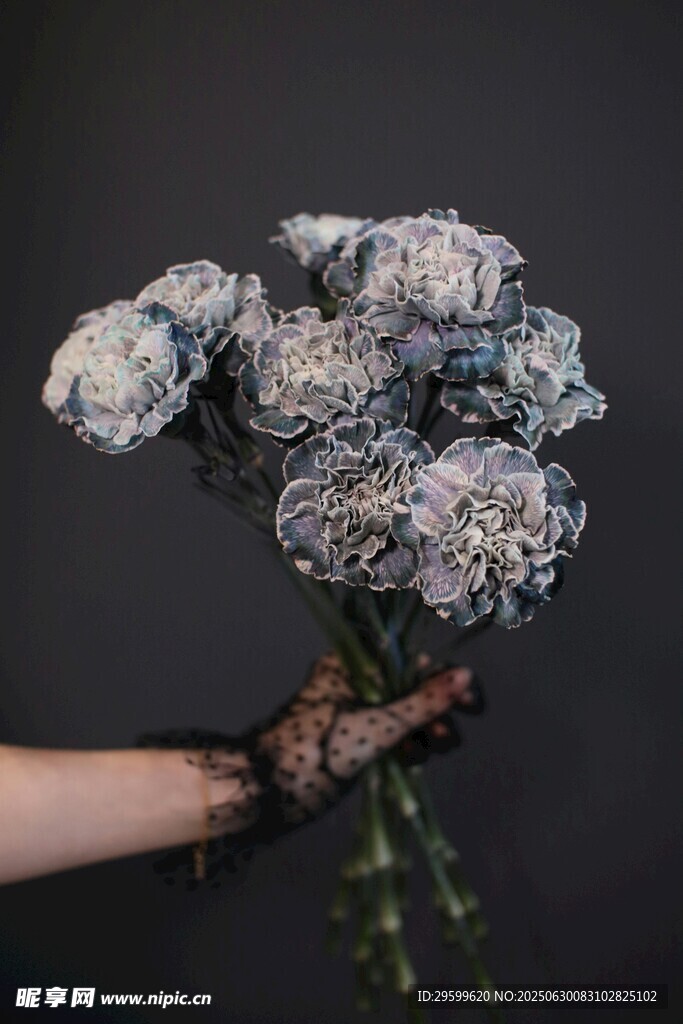 手捧枯萎花朵的独特画面