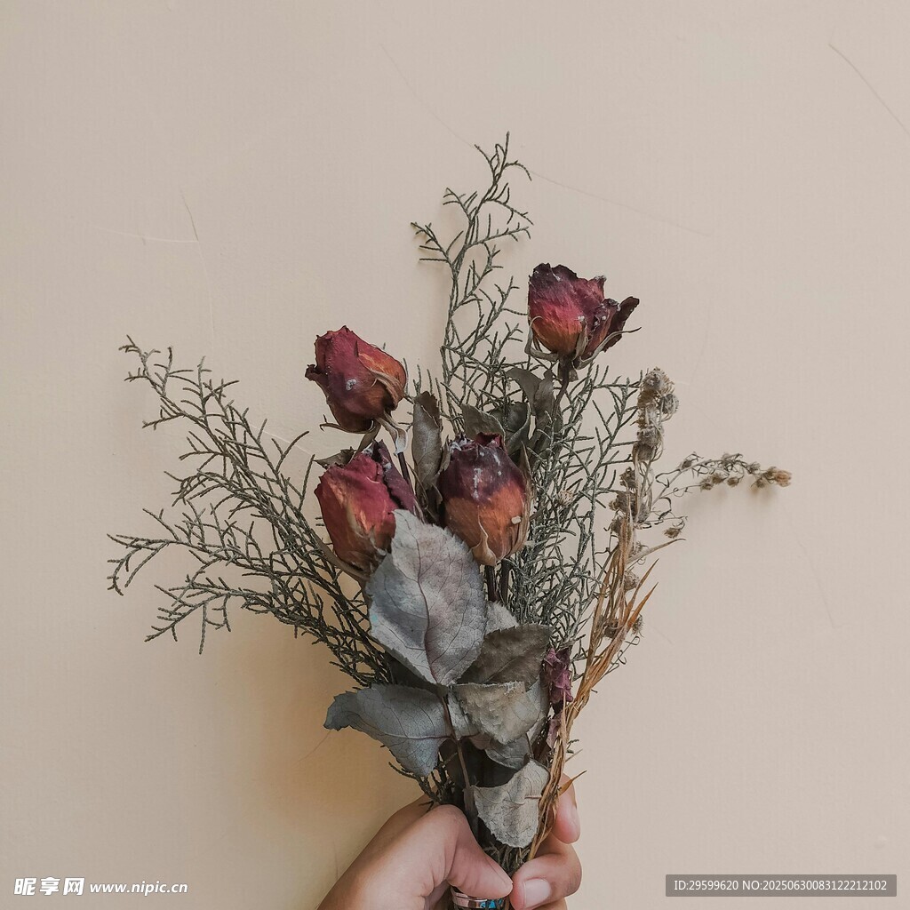 手捧枯萎玫瑰干花束