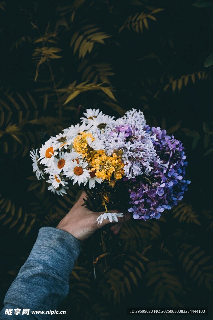 手捧多彩鲜花