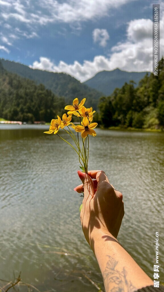 手捧黄花于湖畔美景