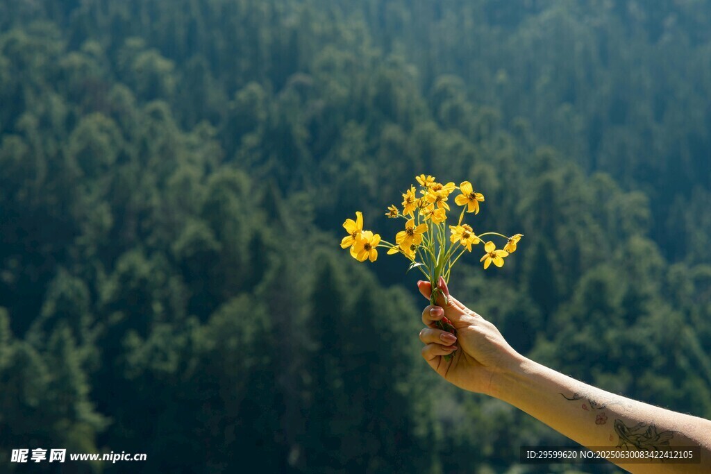 手捧黄花于山林间