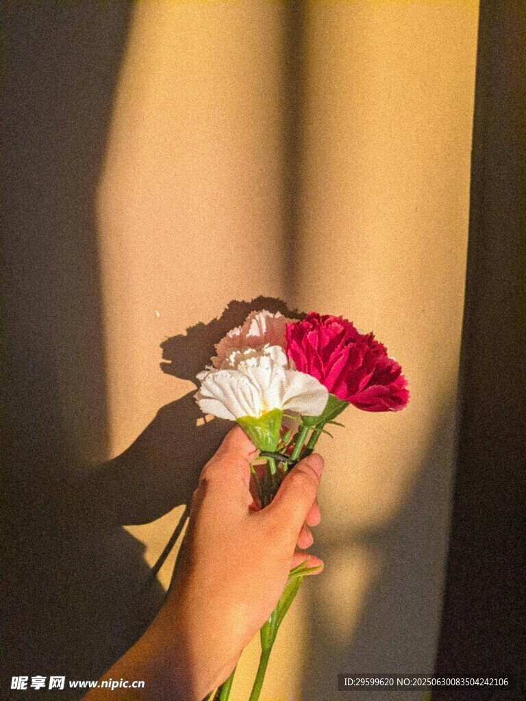 手捧三色花 