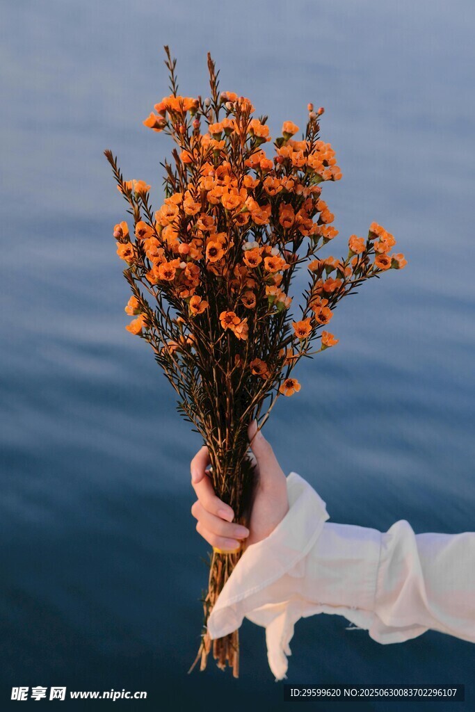 手捧橙花面向蓝色水域