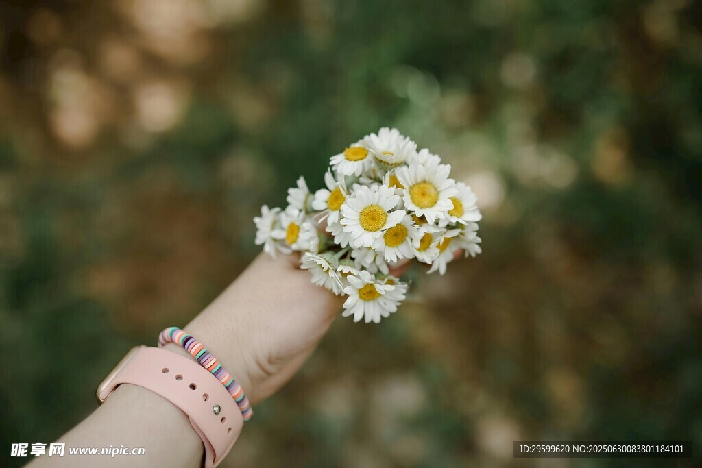 手腕上的雏菊花环