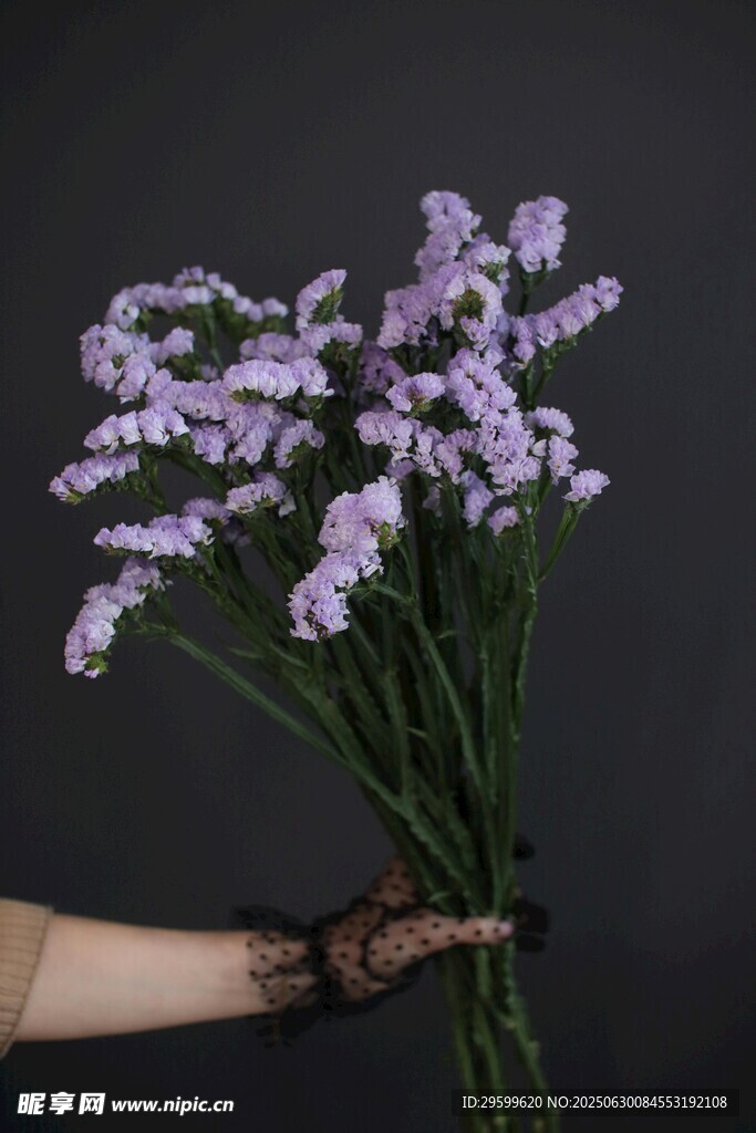 手捧紫色花束