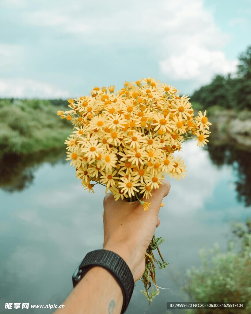 手持雏菊于河畔美景