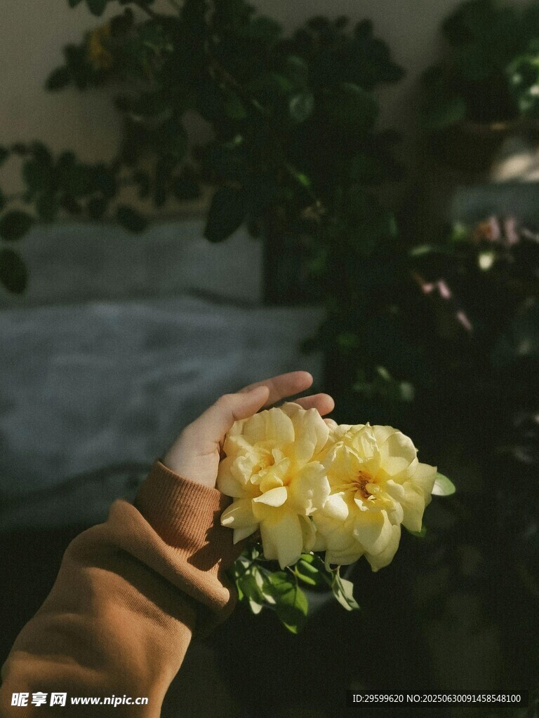 手捧黄色鲜花的温馨瞬间