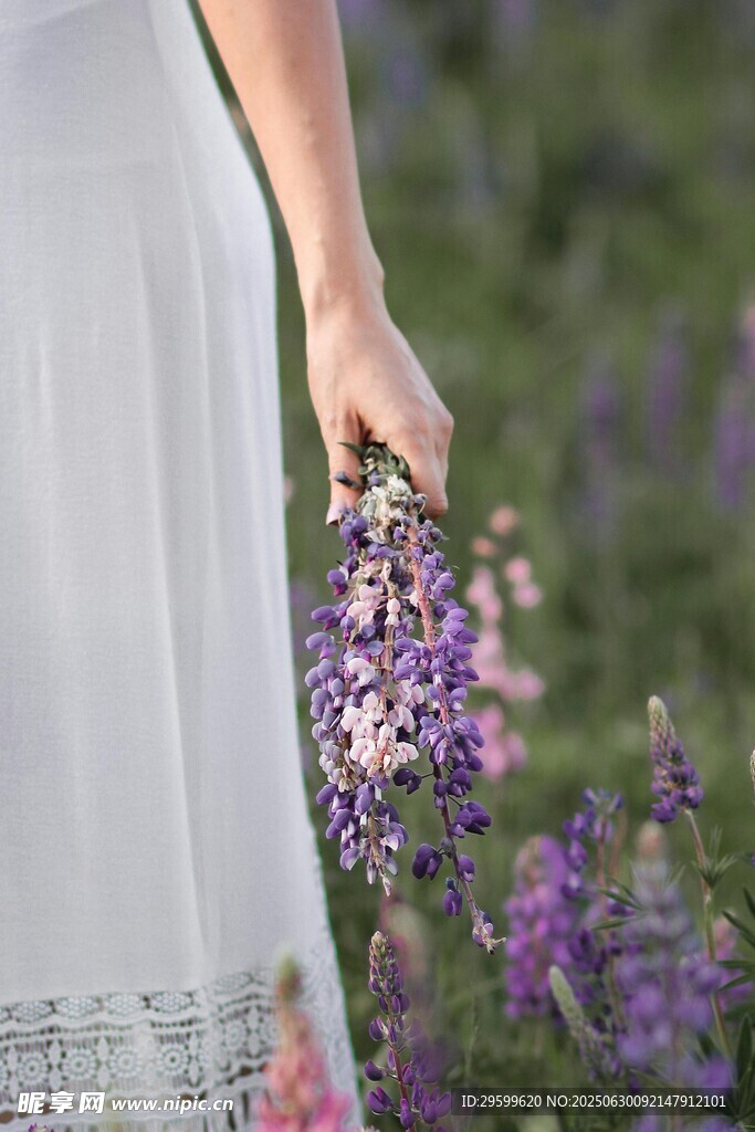 女子手持紫花于花丛中