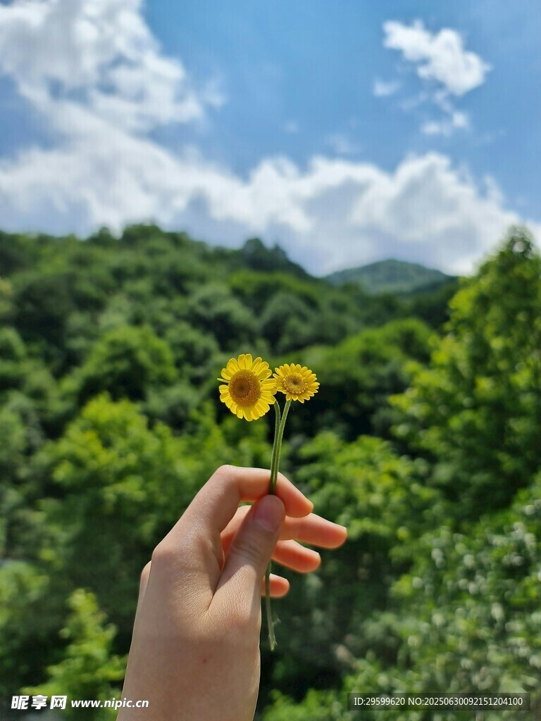 手托小花绽于青山蓝天间