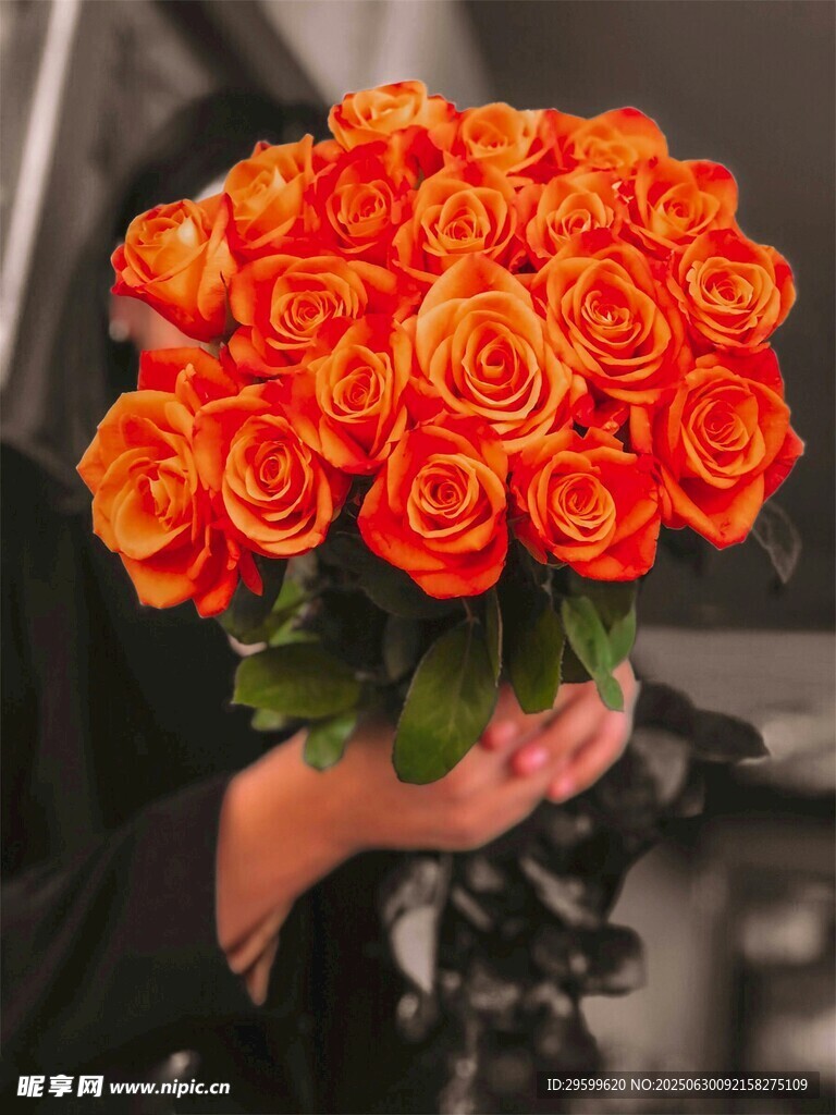 手持鲜艳橙红色玫瑰花束