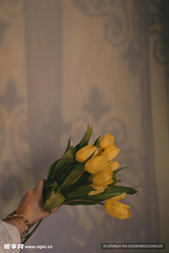 手捧黄色郁金香花束