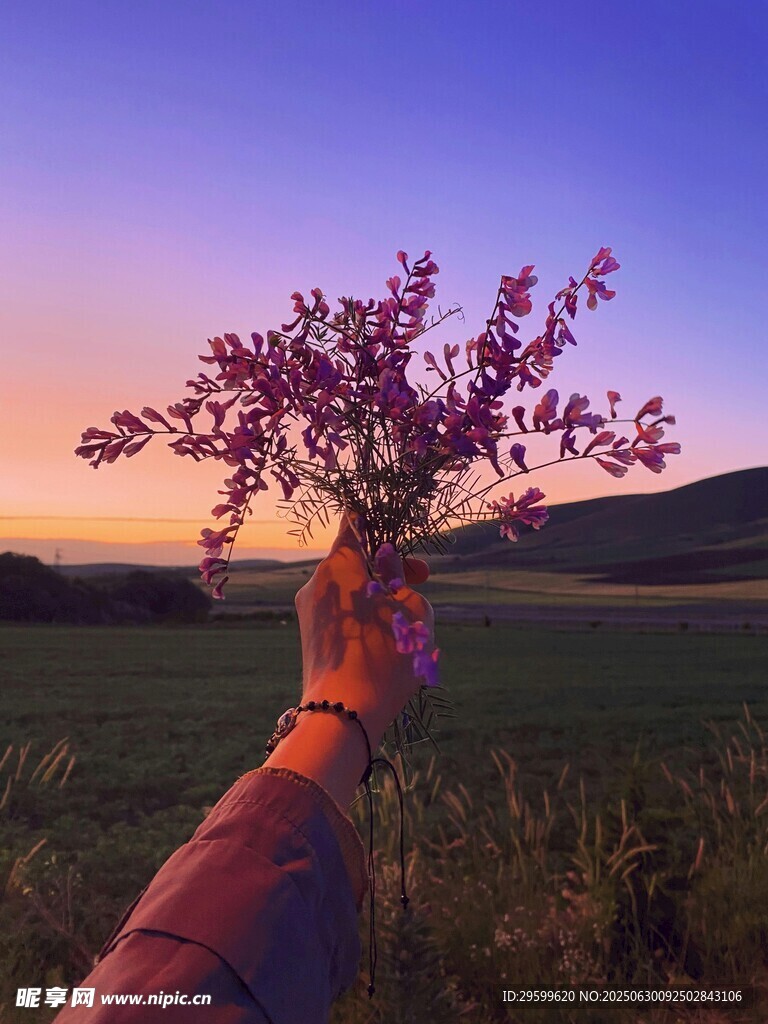夕阳下手捧繁花的美景