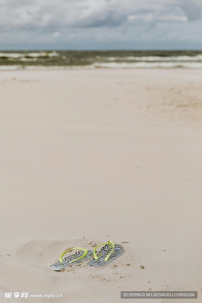 沙滩上的小海龟