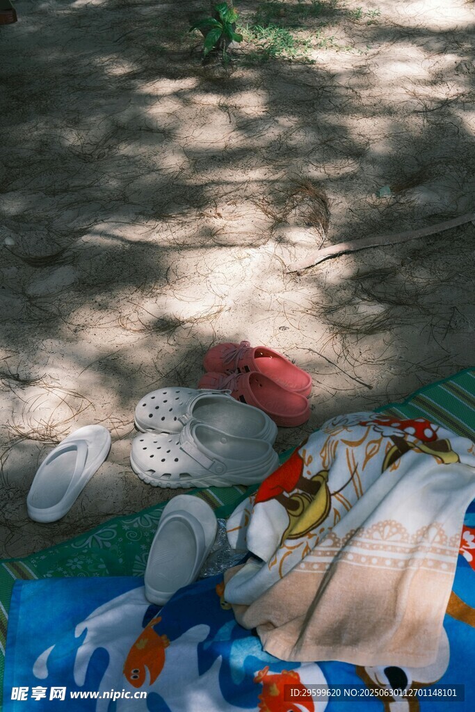 户外野餐场景中的多样物品