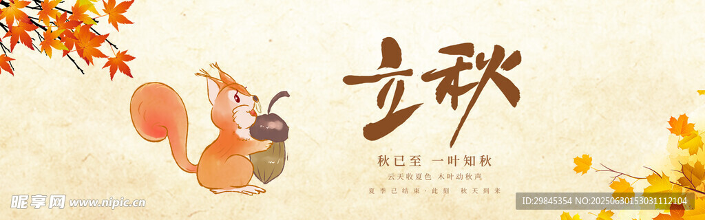 立秋时节的可爱松鼠