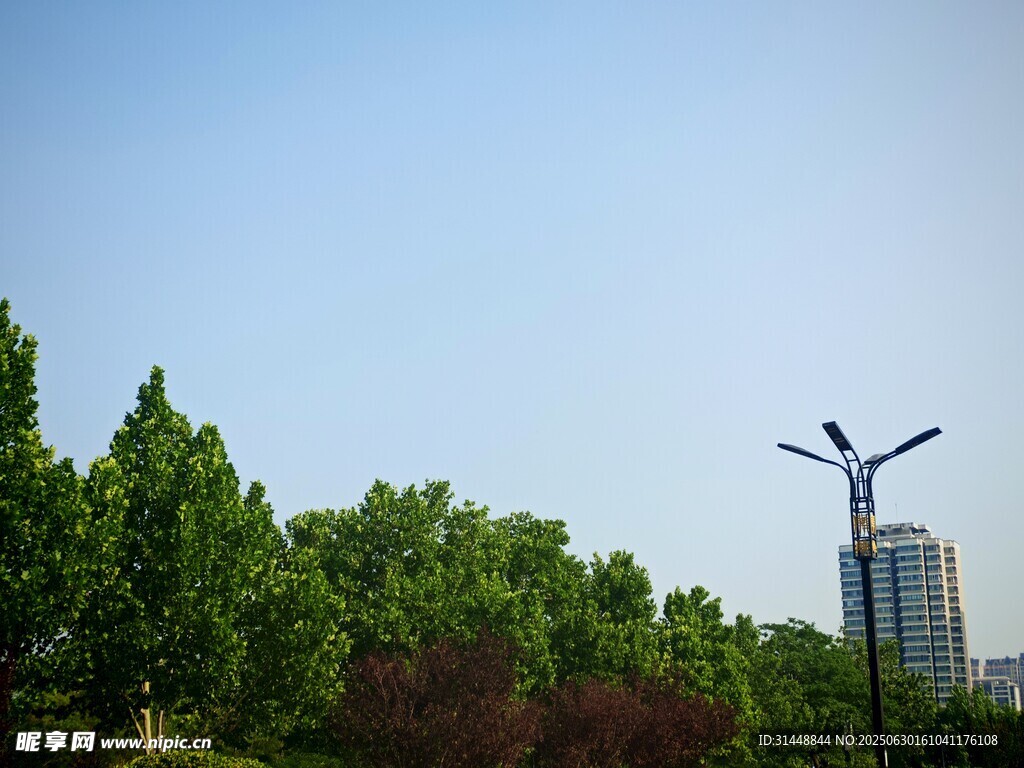 绿树间的独特建筑景观