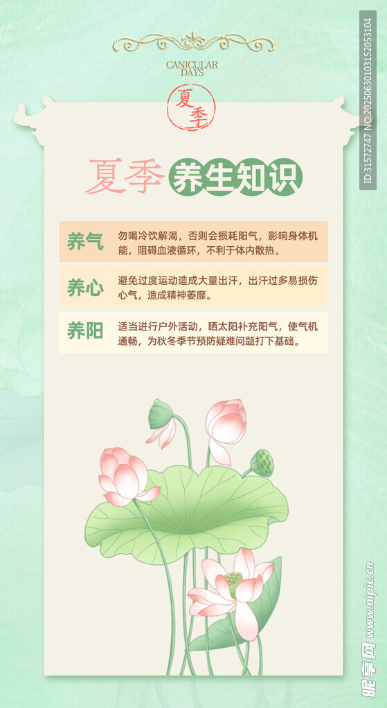 夏日养生