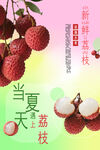 荔枝海报