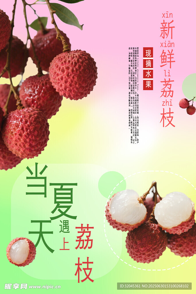 荔枝海报