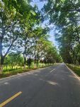 林间公路 
