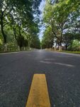 林荫下的宽阔柏油马路