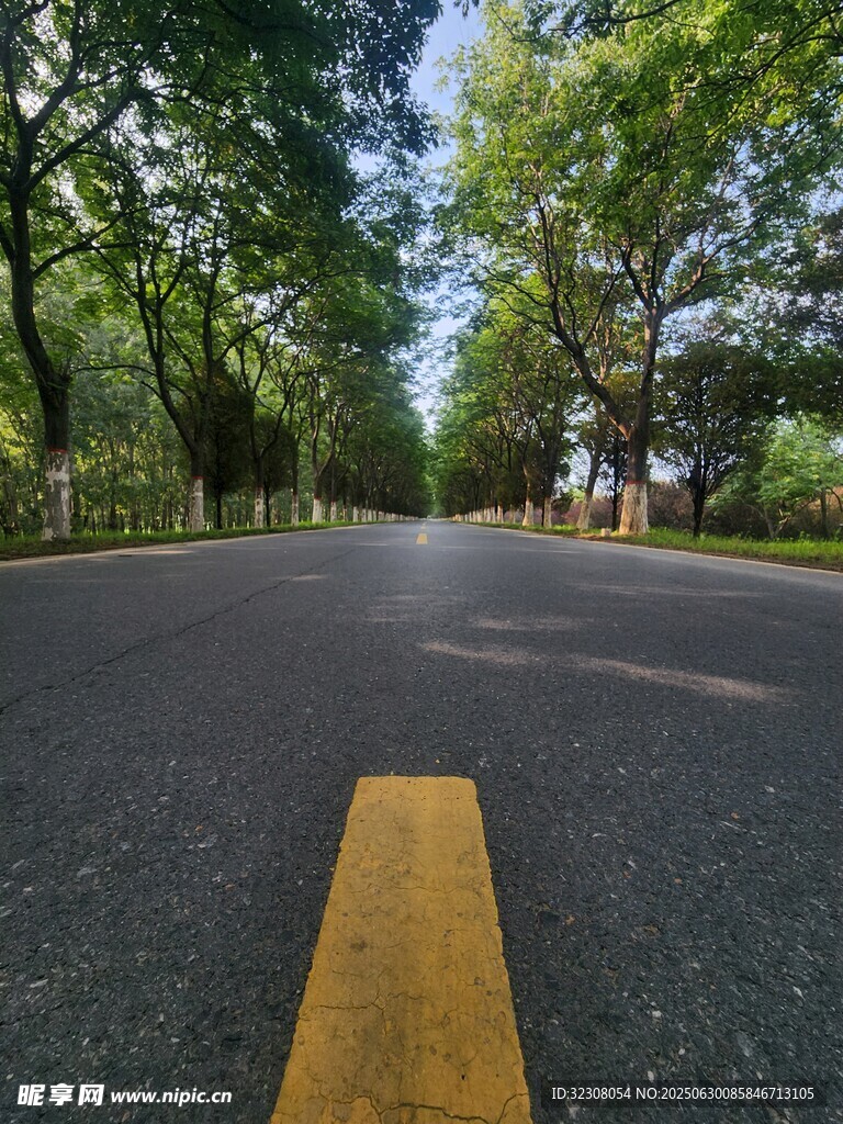 林荫下的宽阔柏油马路