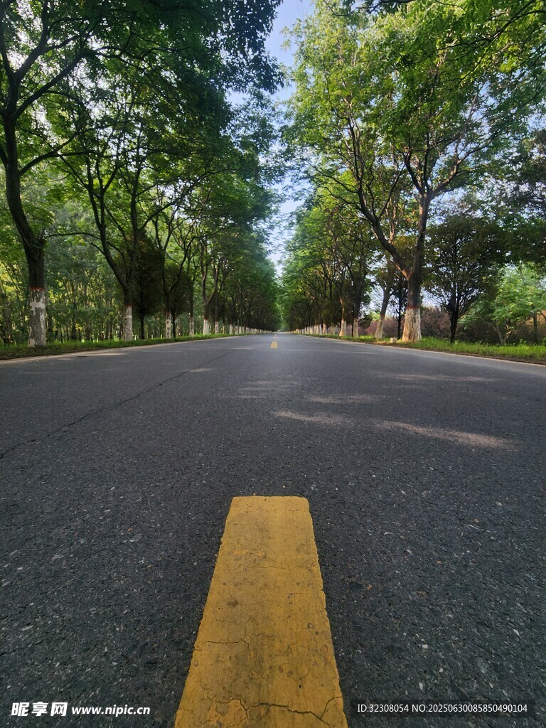 林荫下的宽阔柏油马路