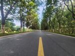 林间公路 