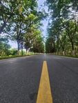 林间公路 