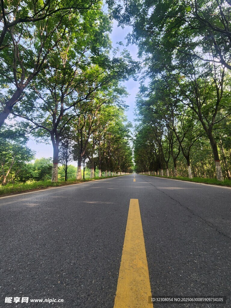 林荫 