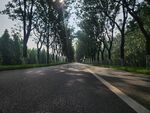 林间静谧公路