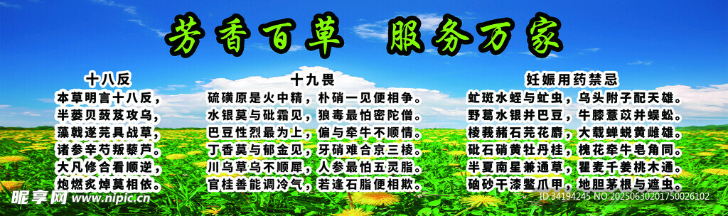 中医口诀