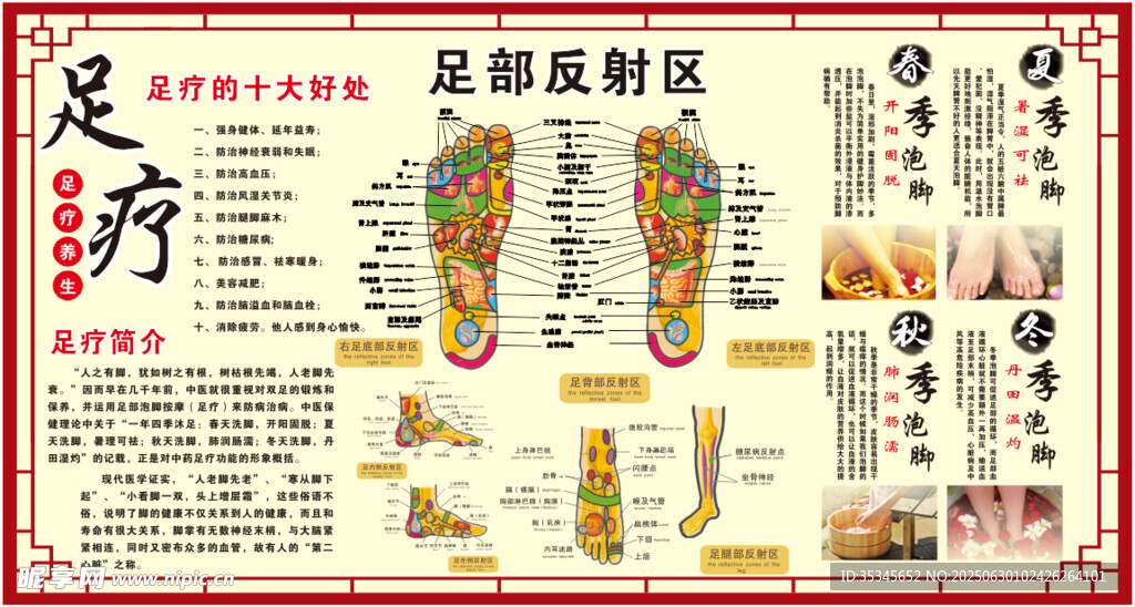 足部反射区示意图