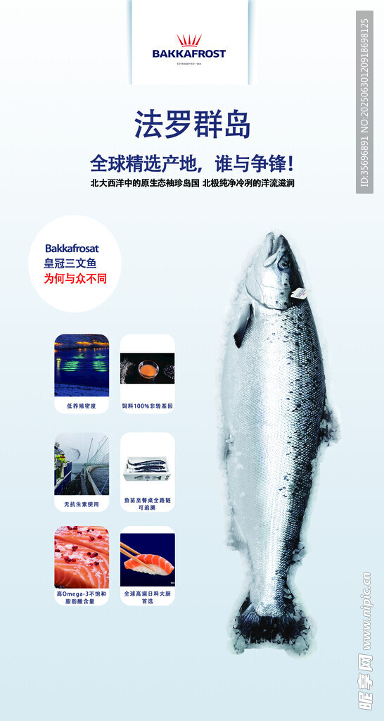 三文鱼