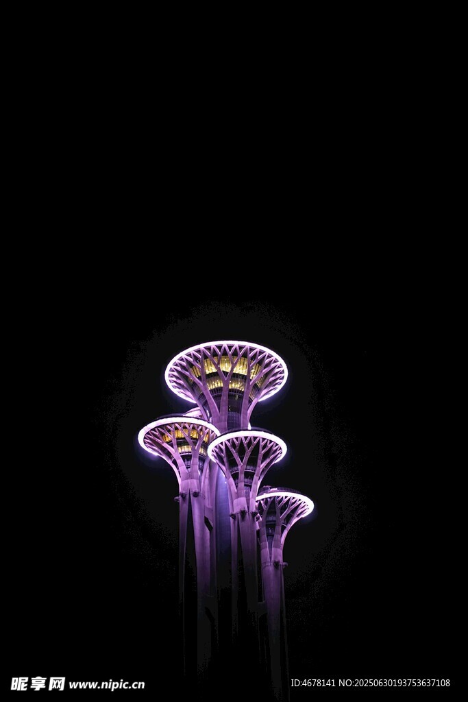 梦幻紫色发光水母