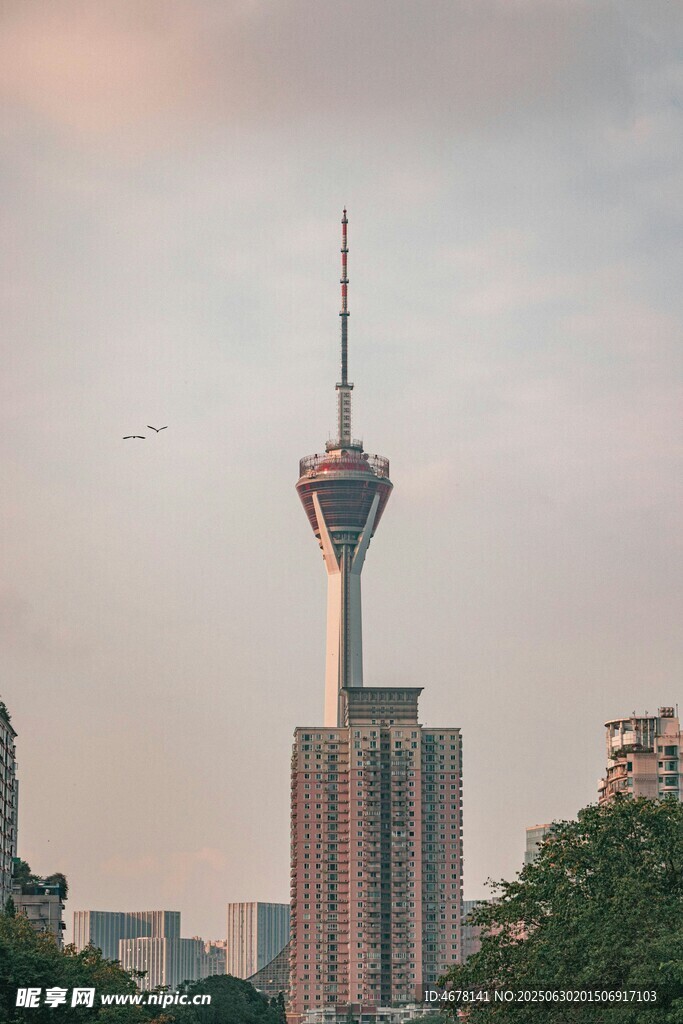 城市中的高耸电视塔景观