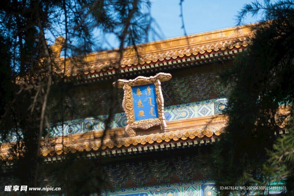 透过树木看中式古建筑