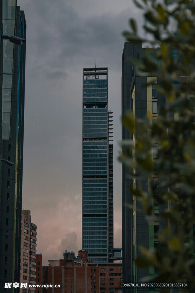 城市高楼与绿植景观