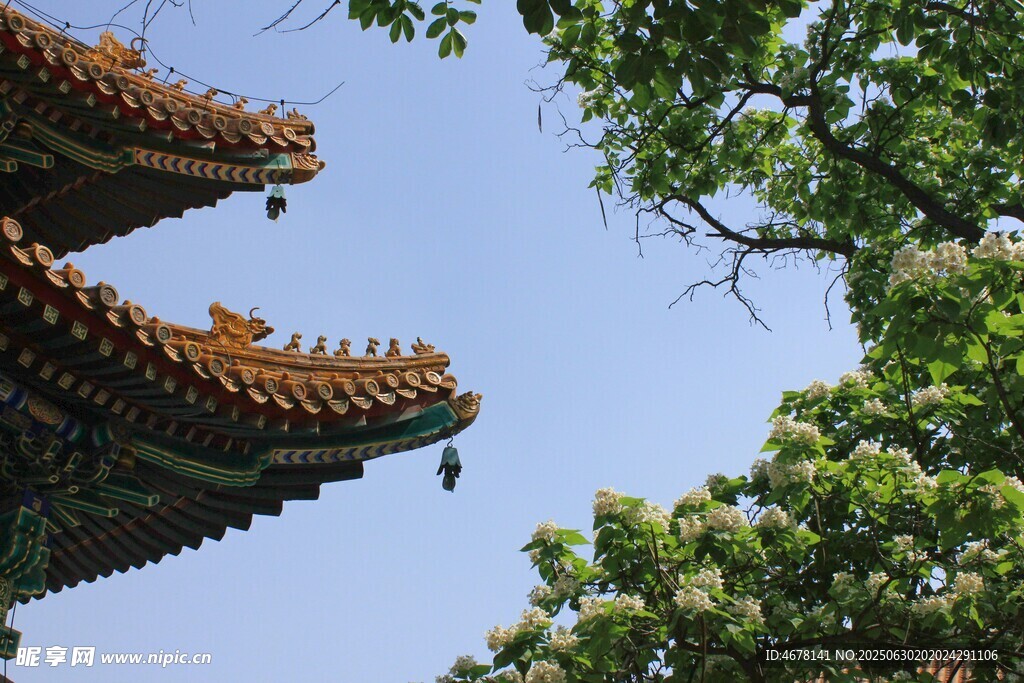 古建屋檐与绿树蓝天