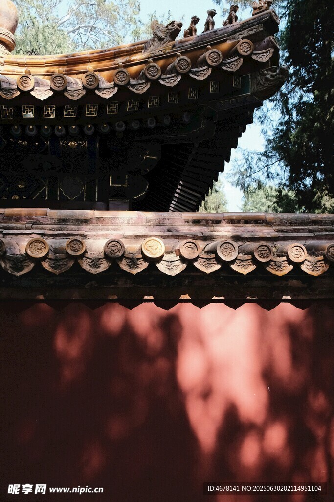 红墙古瓦下的光影景致