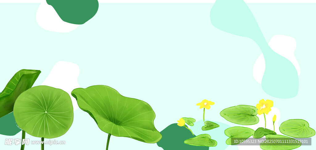 夏日荷塘清新风景图