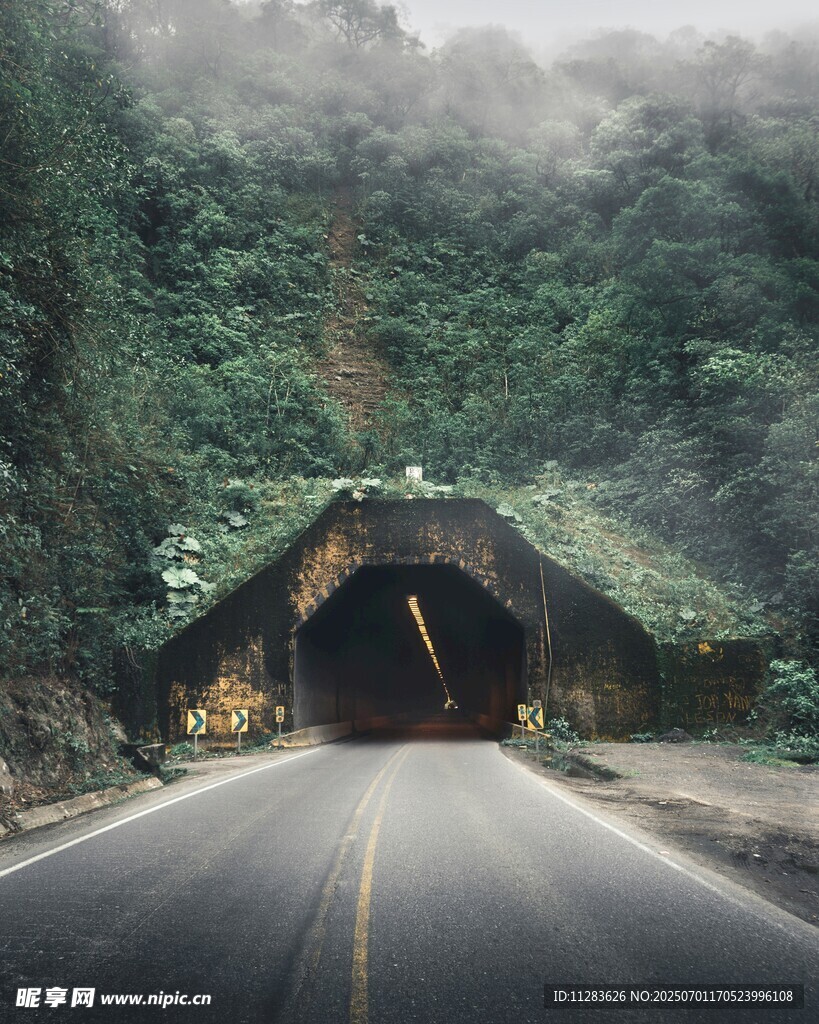 山间公路隧道入口景观