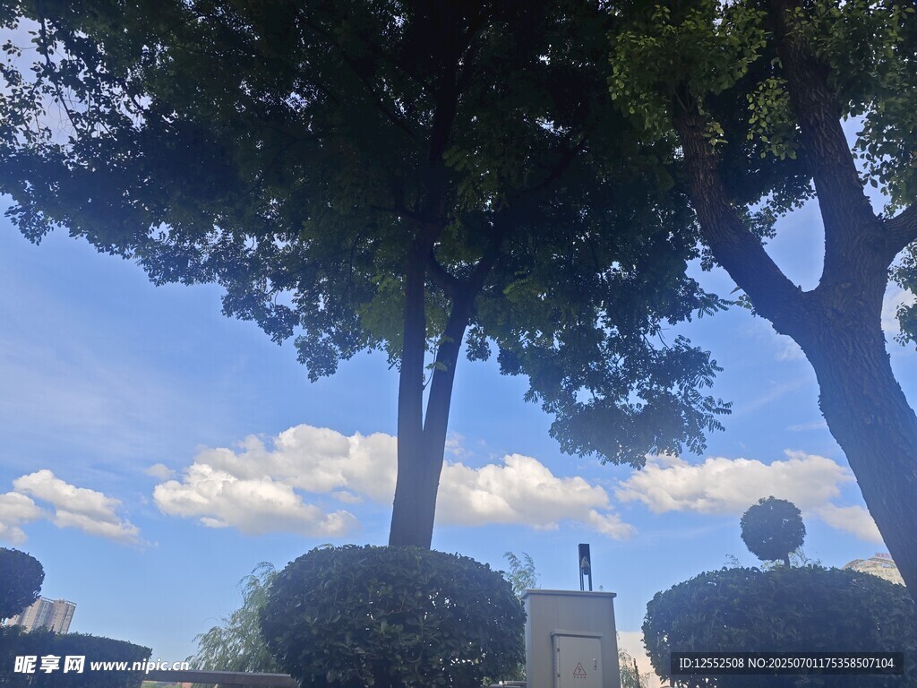 树下石景
