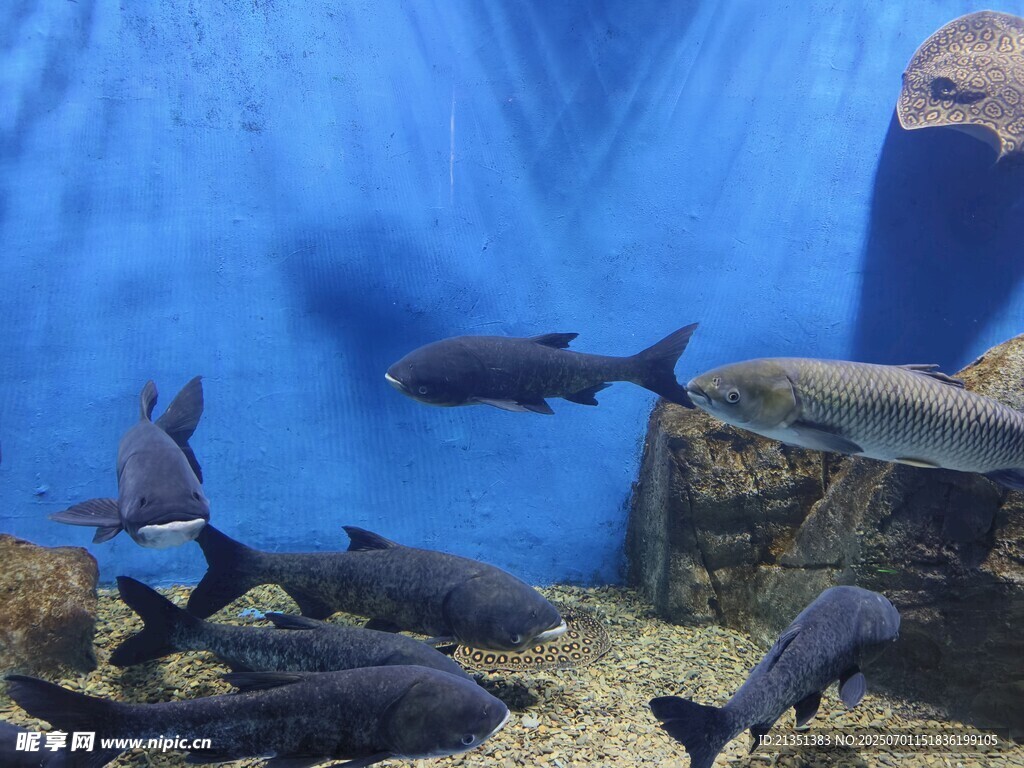 海底世界