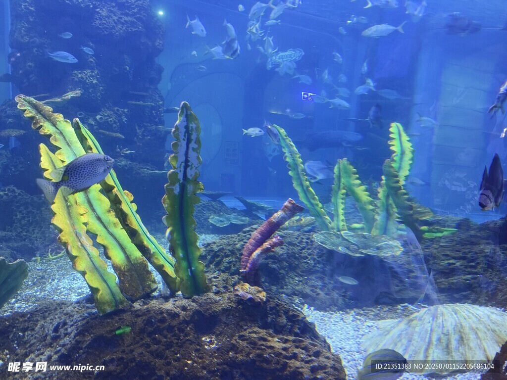 海底造景