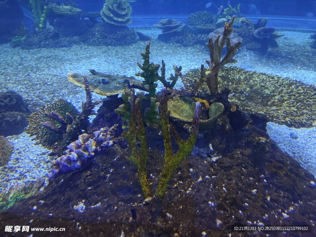 海底造景