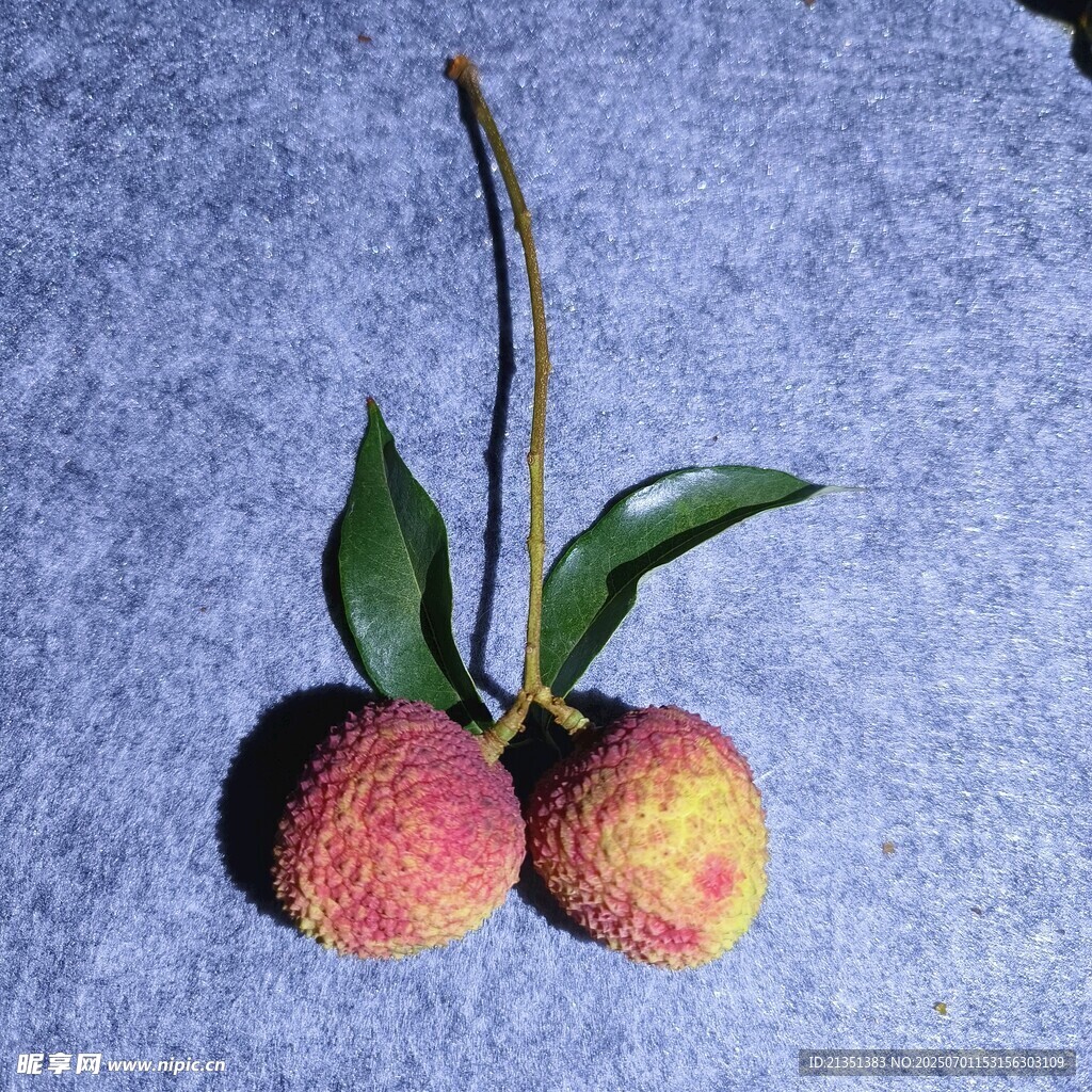 荔枝