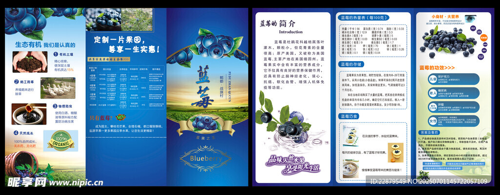 蓝莓三折页