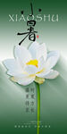 小暑海拔